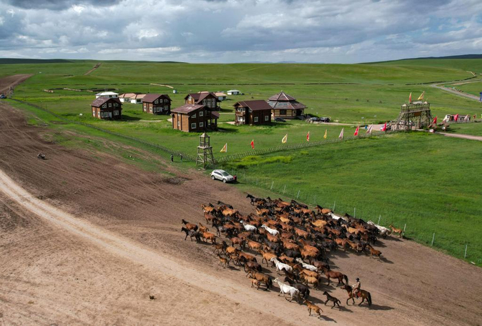 7月10日，山丹马场牧马人驱赶马群去饮水（无人机照片）。新华社记者 郎兵兵 摄