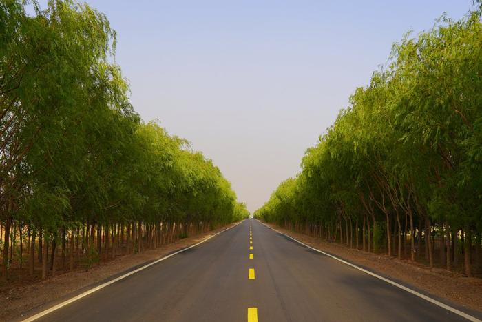 磴吉线道路两侧的绿化成为靓丽风景线。赵普华 摄