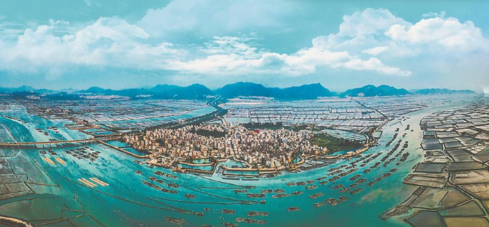 东山县杏陈镇海产养殖基地 吴秀霞 摄