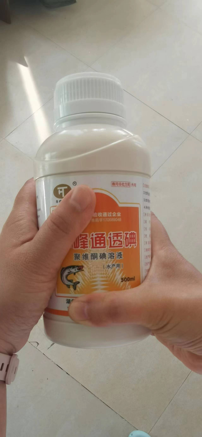 图2 聚维酮碘消毒液
