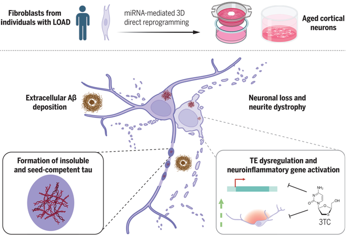 图片来自Science, 2024, doi:10.1126/science.adl2992