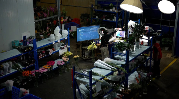 “云舍花卉”主播正在鲜花直播间带货。资料图片