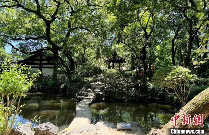 沈园古迹区内，宋代保留至今的葫芦池、土山。项菁 摄