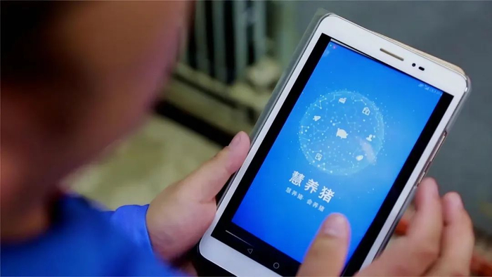 （图3：生猪养殖管理软件慧养猪）