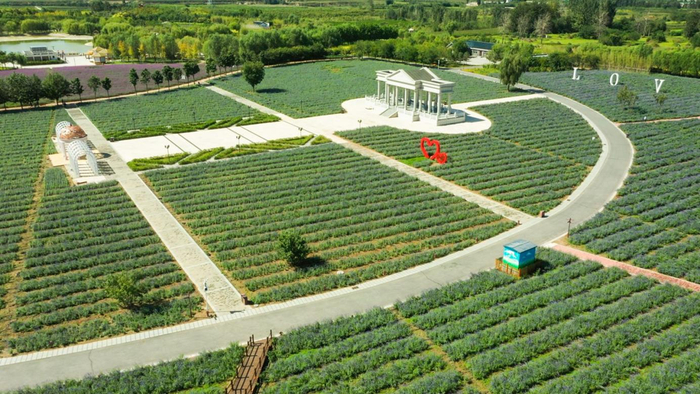 安国市药博园。安国市委宣传部供图