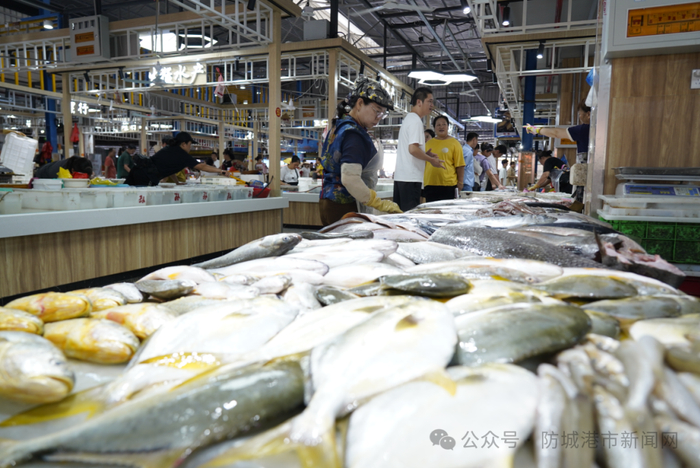 新鲜渔获。防城港日报全媒体记者 李雪妮 黄艳芳 摄