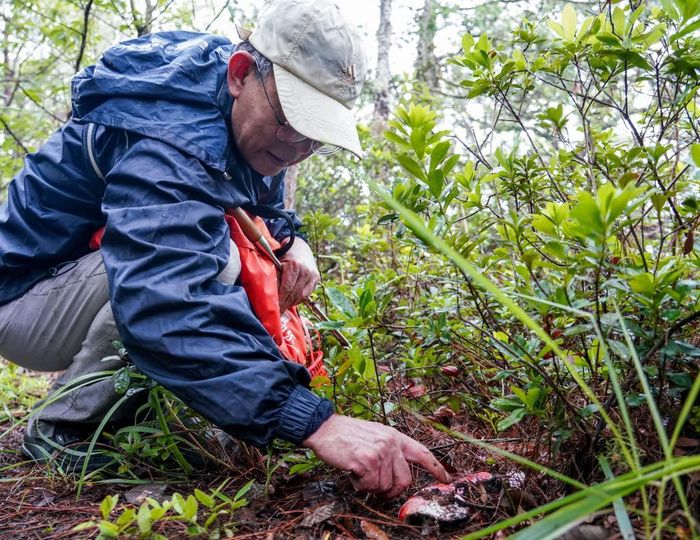 （图源：新华网）