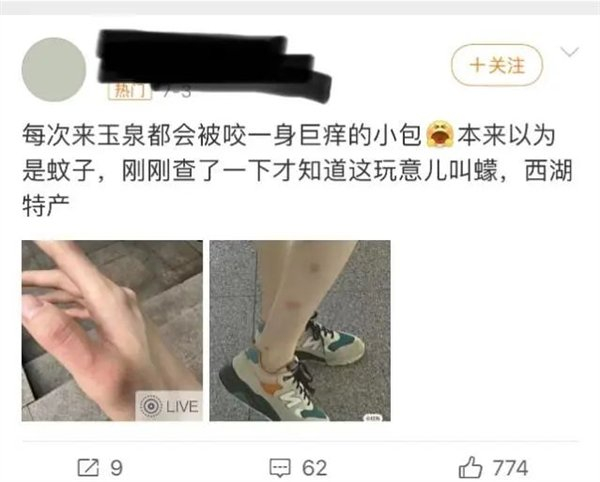 被蠓困扰的网友。来源：微博截图