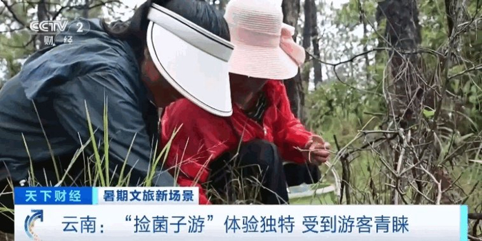 （图源：央视财经）