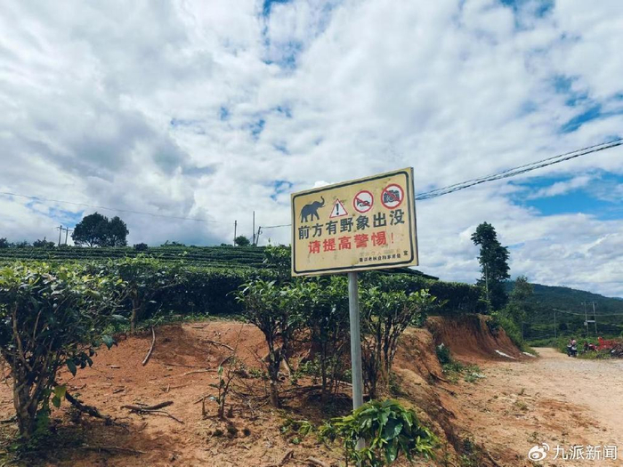 大渡岗乡的一处警示牌。图/九派新闻
