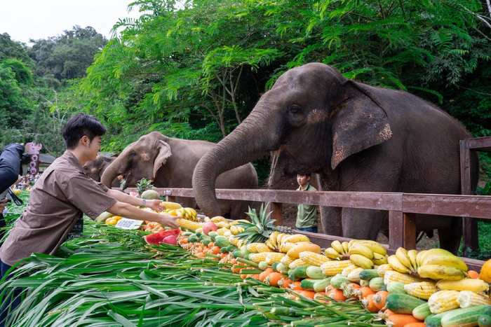 资料图片。（记者提供）