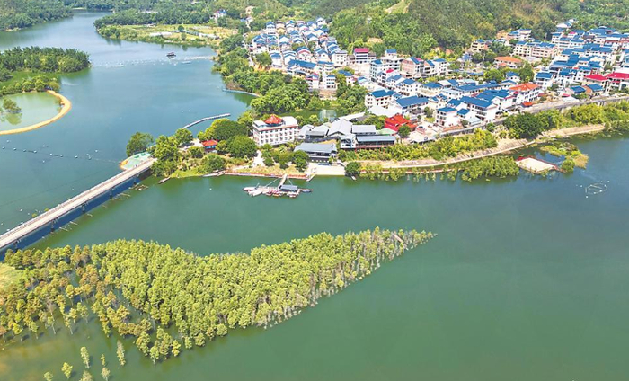 俯瞰南平市延平区炉下镇斜溪村.