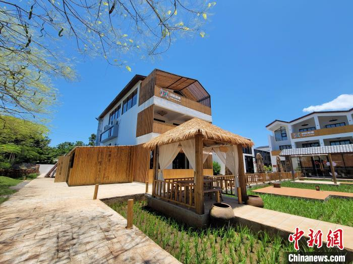 8月8日拍摄的海南省临高县东英镇多福村一民宿。中新网记者 王晓斌 摄