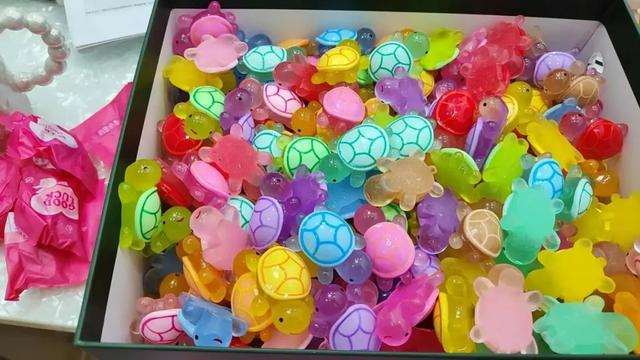 王橙的“乌龟大军”。受访者供图