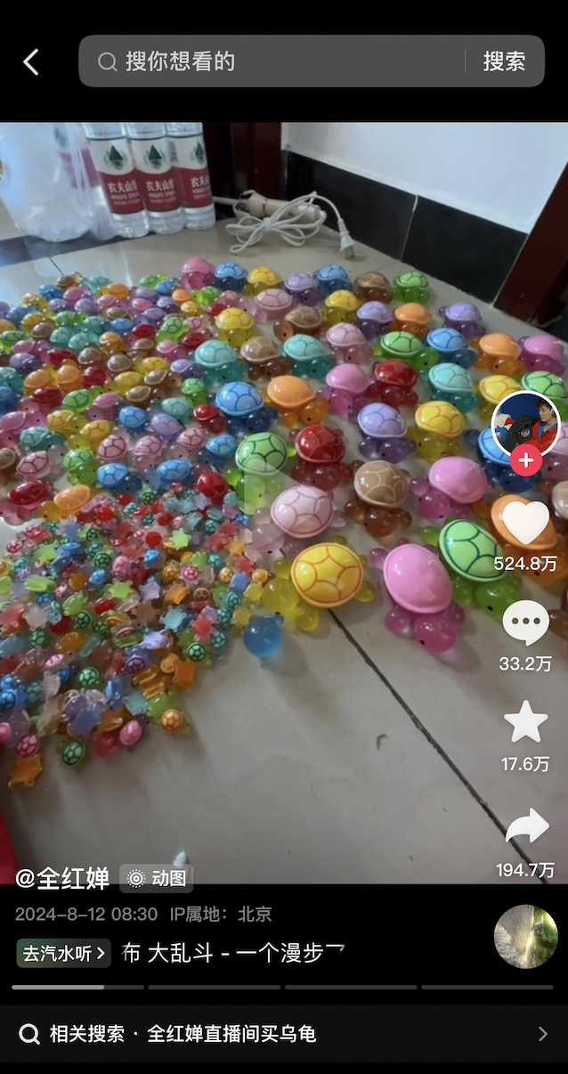 图源：全红婵社交账号