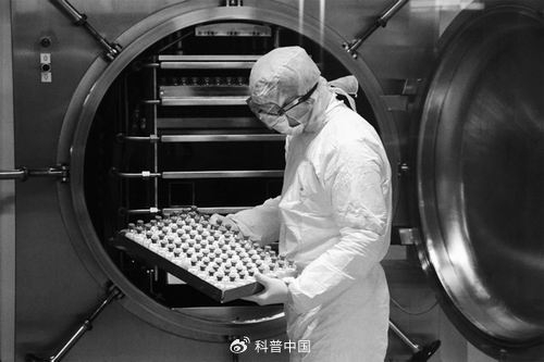 对血液中200多种蛋白质的分析为研究死亡风险和十几种与衰老相关的慢性疾病提供了线索。图片来源：Vo Trung Dung