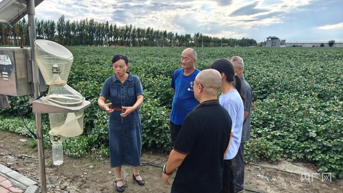 沙湾市农业农村局技术人员为合作社成员讲解田管知识 （央广网记者郭璁悦 摄）