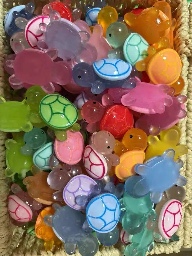 陈萌萌将“乌龟大军”存入收纳篮里。 受访者供图