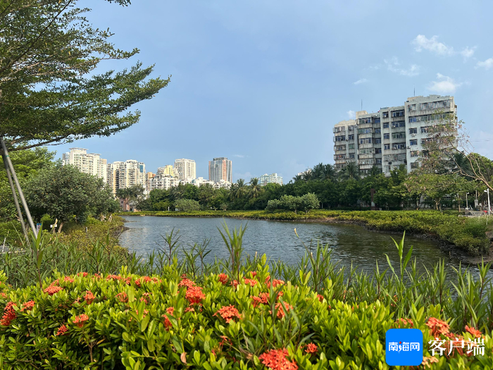 海口鸭尾溪湿地生态公园。记者孙春丽 摄