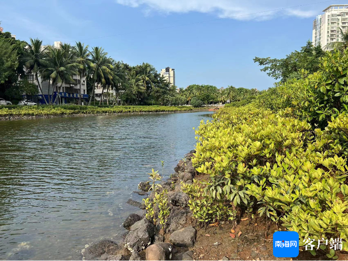 海口鸭尾溪湿地生态公园。记者孙春丽 摄