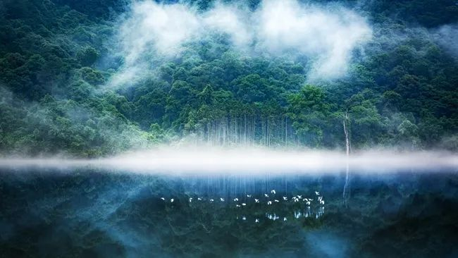 有如一幅山水画卷的常口村常上湖