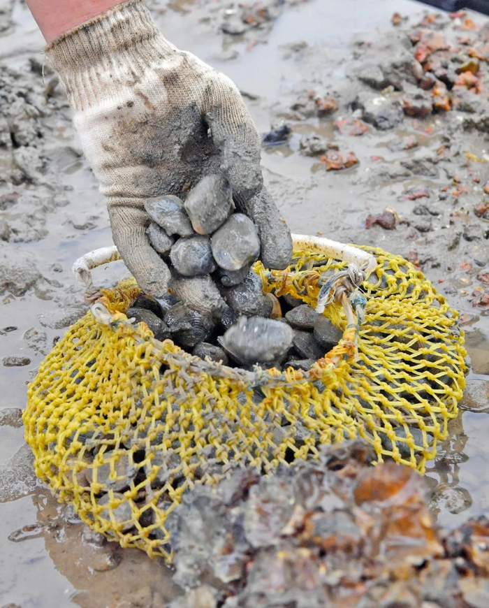  资料图 李向东 摄