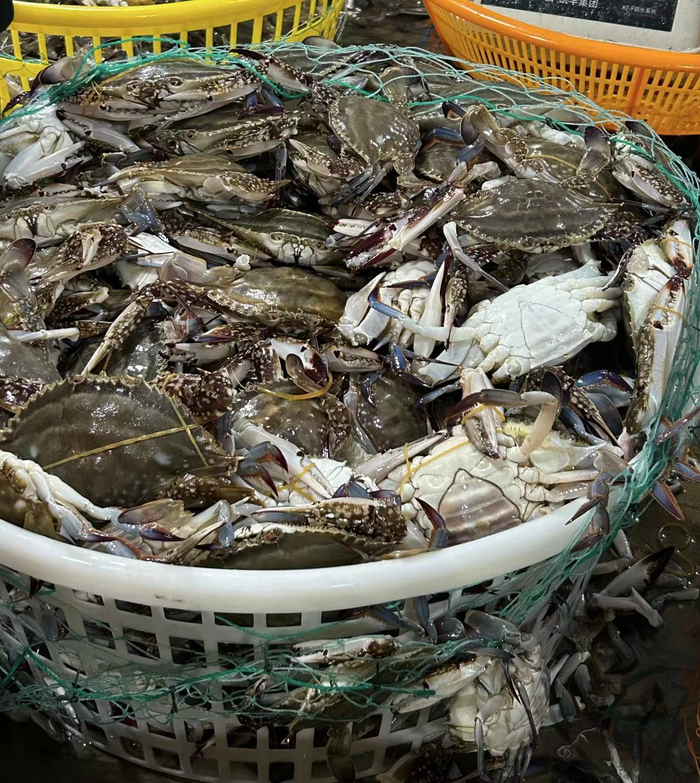 新鲜的梭子蟹（图源：时代周报王晨婷/摄）