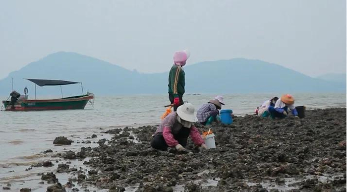 资料图 方贵松 摄