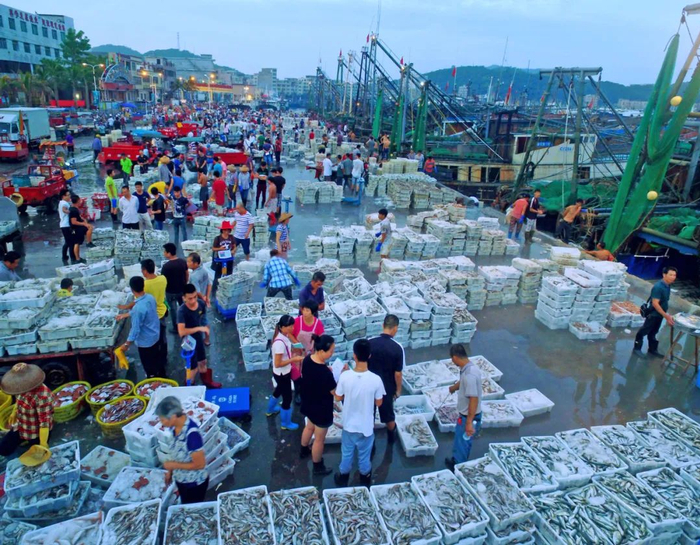 资料图 梁文栋 摄