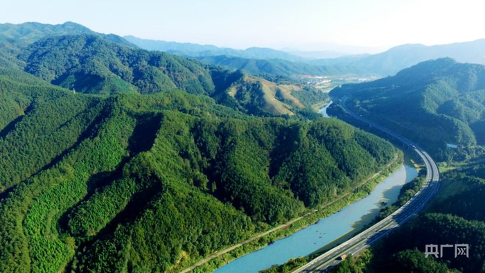 三明市官庄国有林场（央广网发  三明市融媒体中心供图）