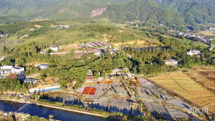 三明市夏茂镇绿意盎然（央广网记者  龚雯  摄）