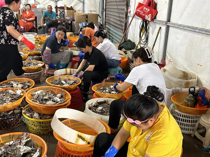 女工们在打包分蟹（图源：时代周报王晨婷/摄）