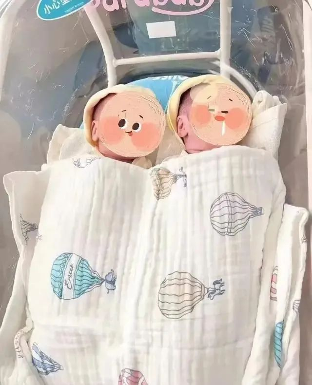 相隔11天出生的一对龙凤胎。图片由医院提供
