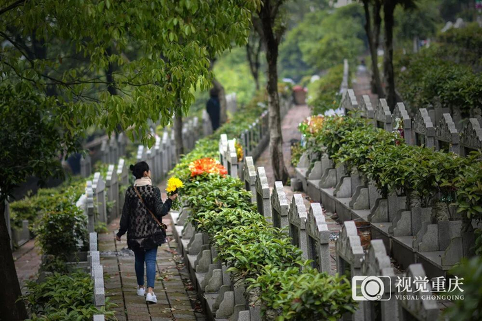 ▲南岸区四公里公墓，市民手持鲜花前来扫墓。记者 郑宇 摄/视觉重庆