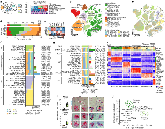 图片来自Nature, 2024, doi:10.1038/s41586-024-07606-7