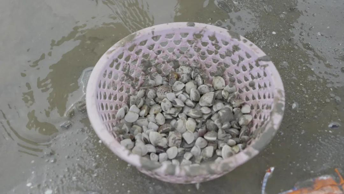 资料图 宋福亮 摄