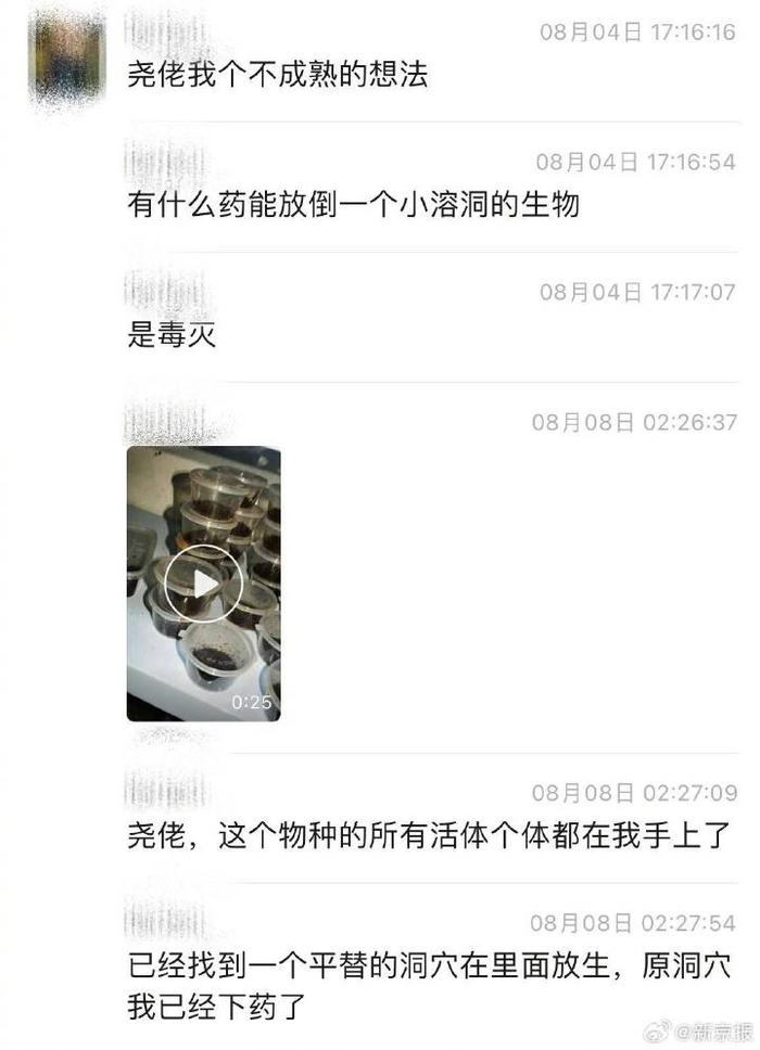 聂某和尧尧的聊天截图。 受访者供图