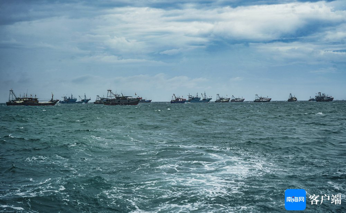 以上图片均由南海网客户端记者 李昊 摄