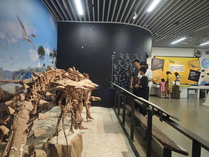 游客正在参观浙江自然博物院·24小时博物馆 图源：视觉中国