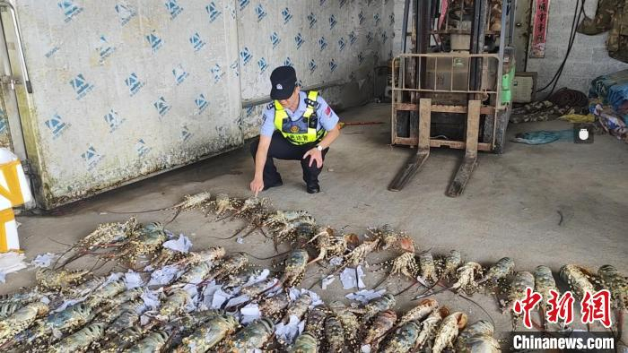 图为移民管理警察正在清点涉嫌走私货物的数量。　农丹凤 摄