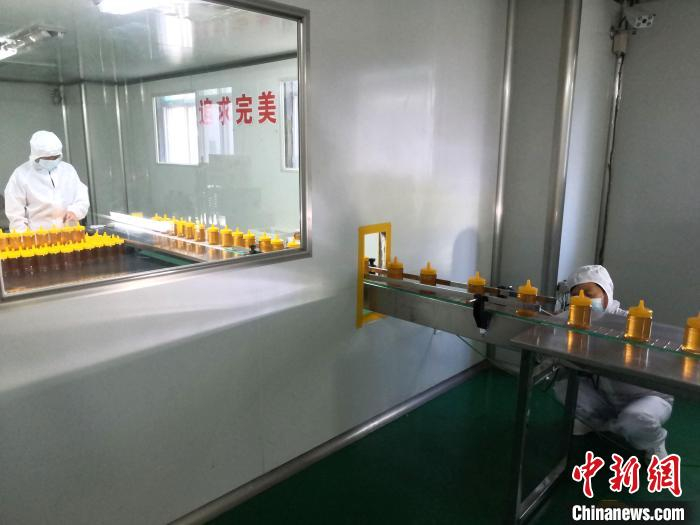 工人在生产车间加工青州蜂蜜。青州市委宣传部供图