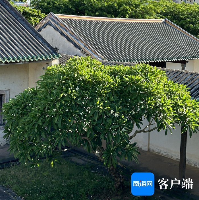 资料图：溪北书院的一角。