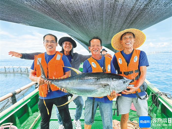 工作人员展示黄鳍金枪鱼。海南日报记者 袁琛 通讯员 马振华 摄