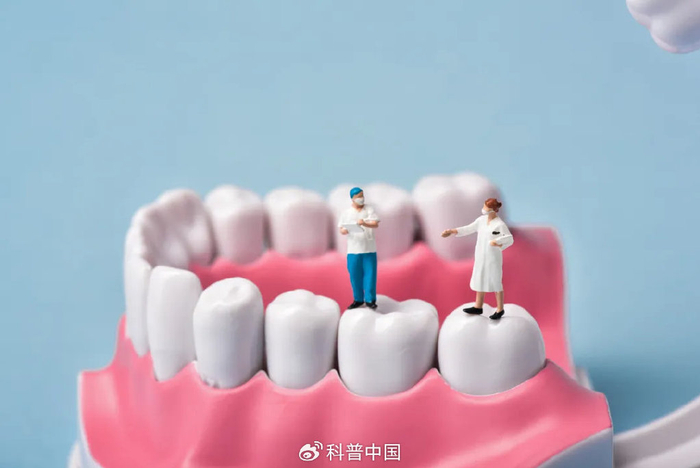 图库版权图片，转载使用可能引发版权纠纷