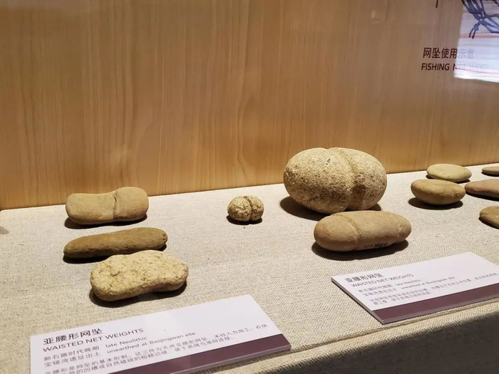 ▲珠海博物馆展出的亚腰形网坠。图来源于珠海博物馆