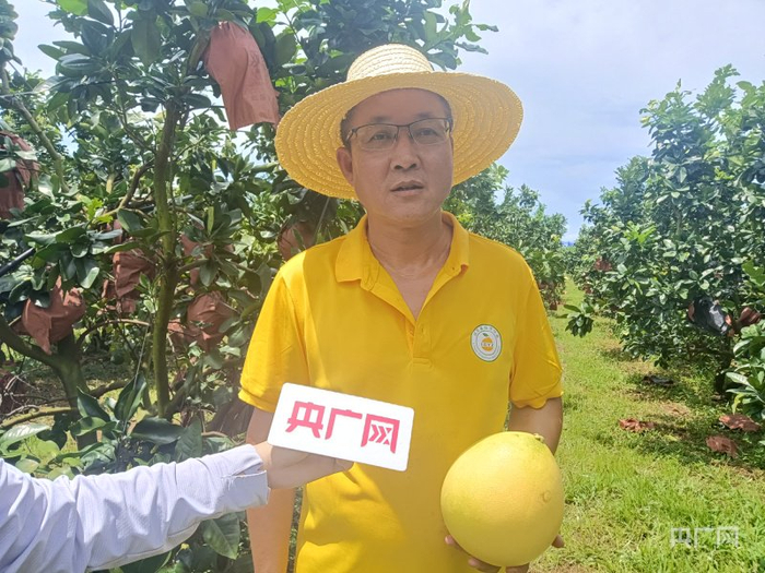 宋世荣介绍自家红心蜜柚种植情况（央广网记者  付美斌  摄）