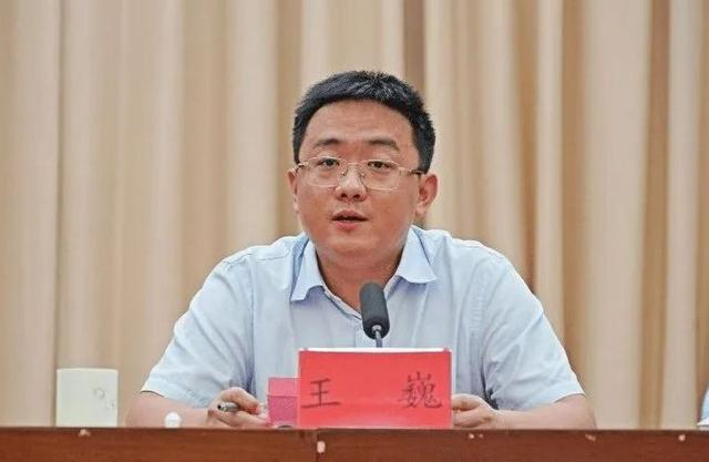 王巍（资料图）