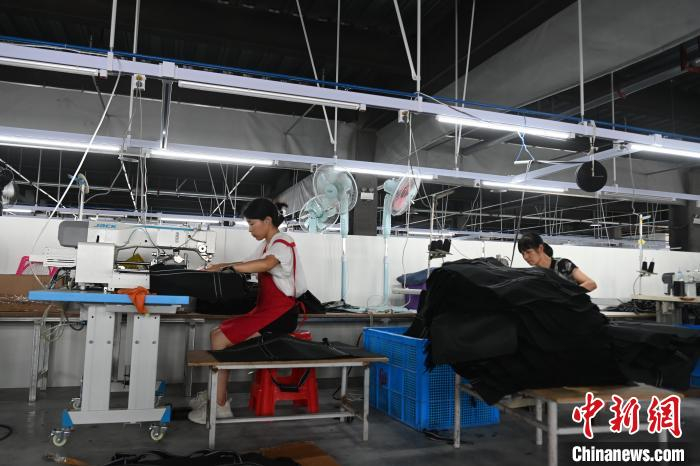 红亮乡村振兴产业园内箱包生产线上工人正在工作。中新网记者 韩苏原 摄