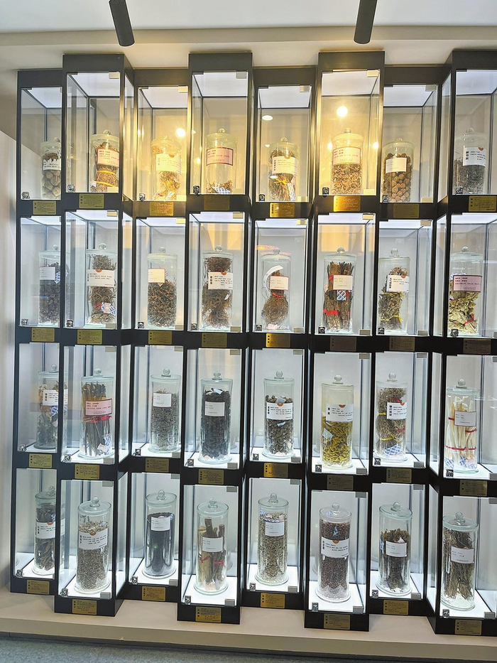 彝医药标本 记者 吕瑾 摄