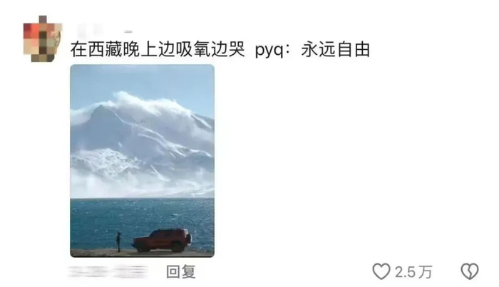 社交平台上，网友分享的“毛坯人生”和“精装朋友圈” 图源：“青春浙江”微信公众号